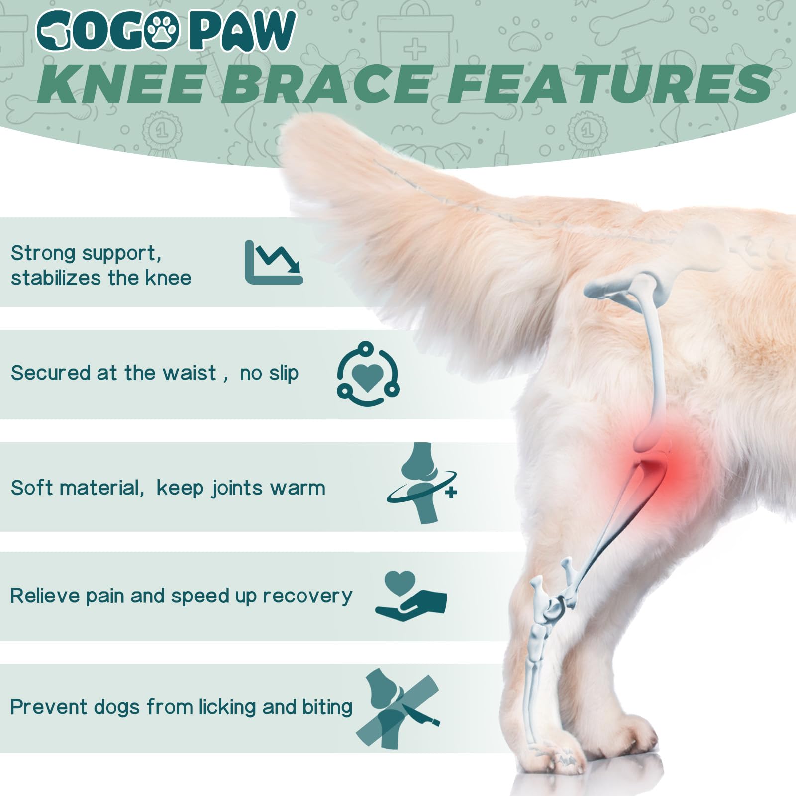 Amazon | GoGoPaw 犬の膝ブレース 引き裂かれたACL 後肢用 – 2つの